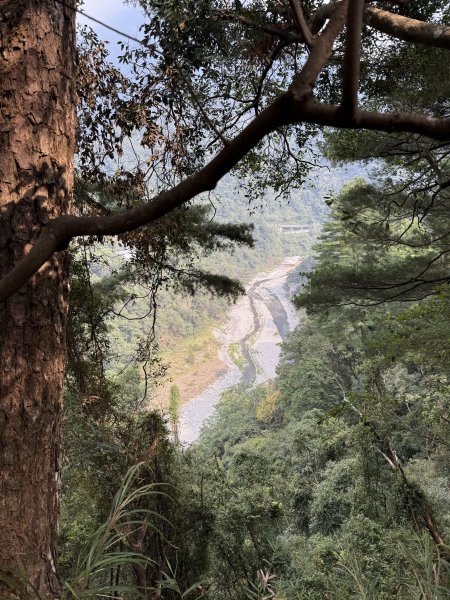 波津加山 202509142893393