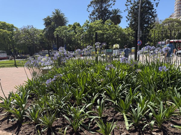 [紐約馬之行-54] 2025_1113~14 義大利廣場2953508