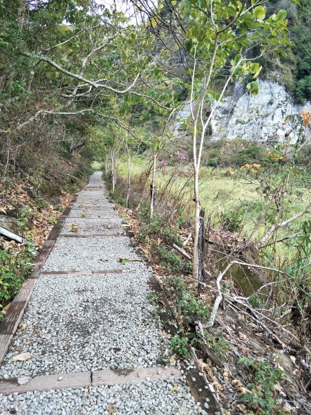 茄苳步道、峭壁雄風步道1267592