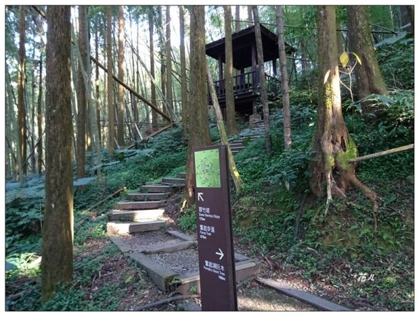 奮起湖大凍山(小百岳)1614087