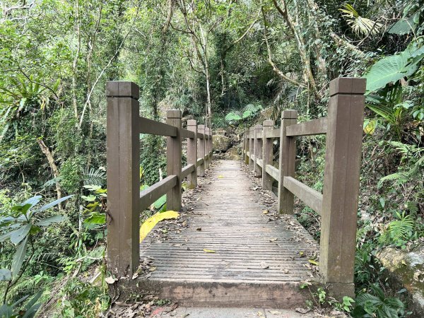 獨立山國家步道2969851
