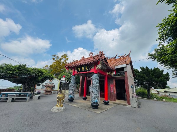 追逐139的金黃花海/相思樹 順訪崩坎山 松子嶺 樟普寮山 西施厝坪山和小百岳橫山3046405