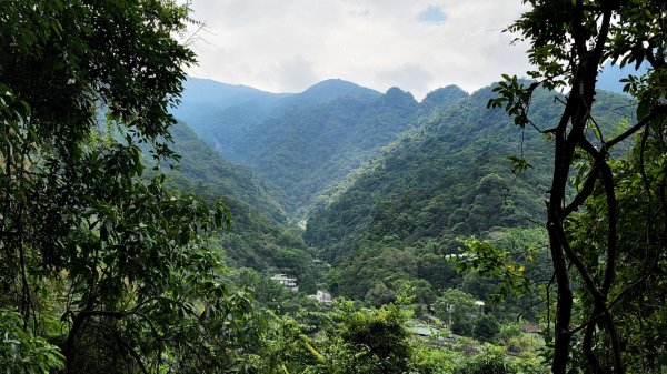 新店獅仔頭山，獅頭山前峰，柴埕路登山步道，光明頂，逐鹿山，內洞森林遊樂區，內洞林道，南港桂花吊橋步道1808401