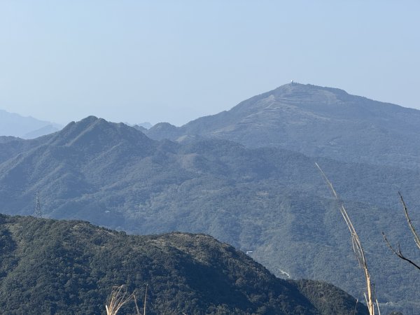 2025/01/20 金瓜石 基隆山 茶壺山2894035