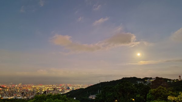 雲山水花鳥蝶 - 天龍國阿伯的日常7/18 & 21、22、292556629