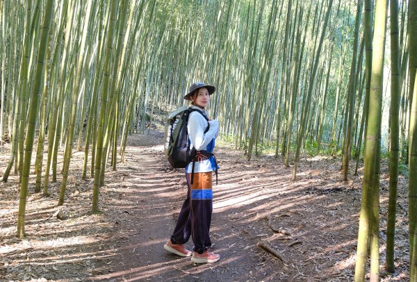 霞喀羅古道2723285