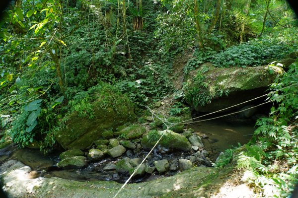 新竹 五峰 鵝公髻山2916848