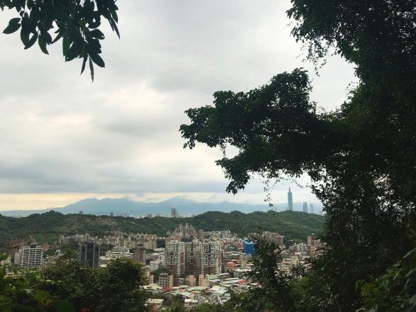 仙跡岩登山步道1502214