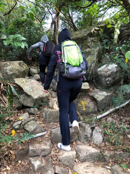 2020.03.08里龍山878291