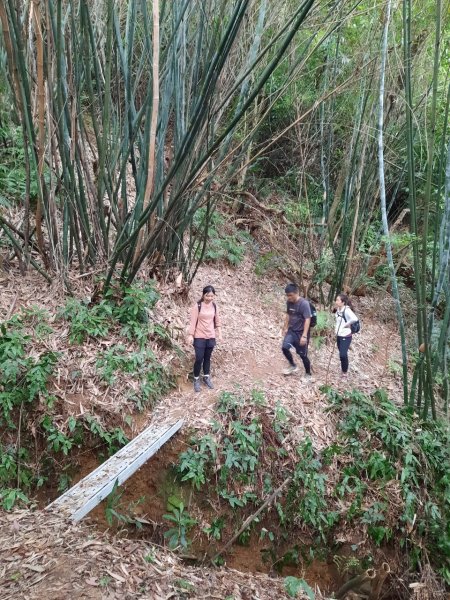 20230408 五指山越野15K賽前探路，隱家拉麵（咖哩），浩客豆花2100975