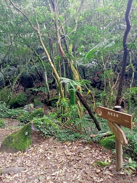 【臺北大縱走4】風櫃嘴→雙溪溝古道→五指山古道→大崙頭山北面步道→許願步道→圓覺寺步道→大溝溪→大湖2469076