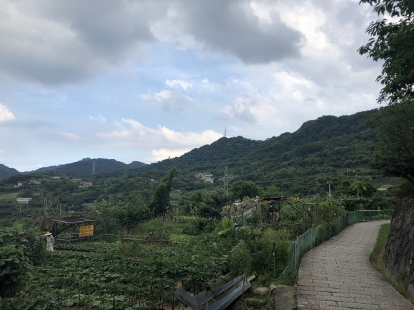 【台北大縱走7】指南宮-貓空-樟樹步道1046349