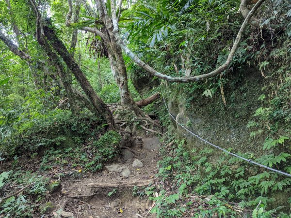 【百大必訪步道—台東】都蘭山步道(小百岳#93)1526217