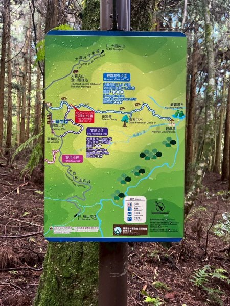 新竹 五峰 觀霧國家森林遊樂區 觀霧瀑布步道+賞鳥步道2811424