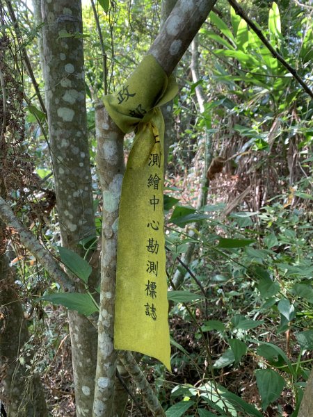 20251115台南南庄山2938067