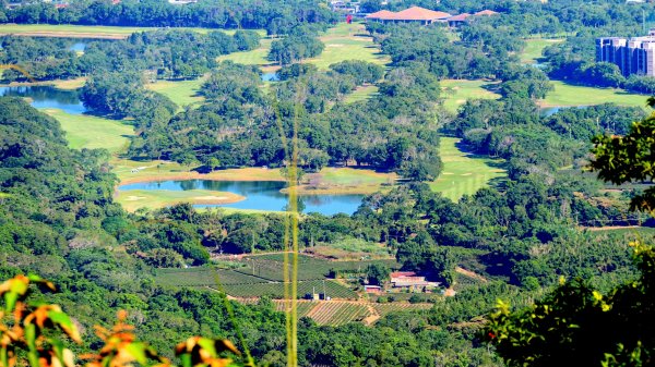 桃園石門山2916130