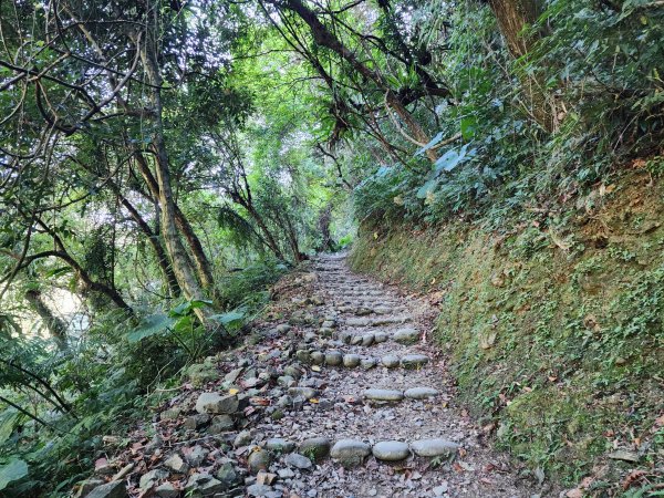 新北烏來｜內洞國家森林遊樂區步道群2904732