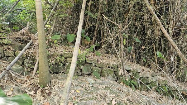 20251002竹子湖三-七窟餐廳-六窟溫泉-廢棄餐廳石佛(消失)-大石閣(騎車爬山)2900654