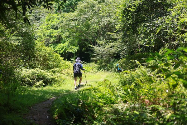 淡蘭古道中路-中坑古道至闊瀨2554155