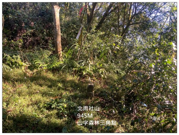 逐鹿古道、雨社山(南投、魚池)2667439