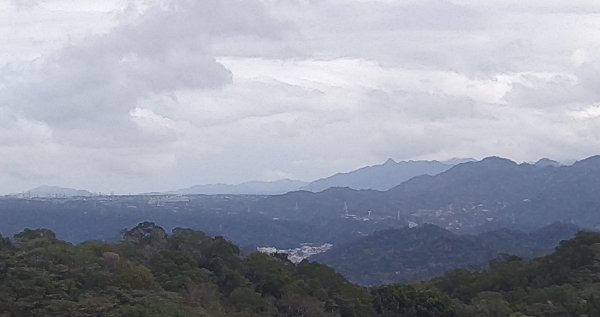 20210213_飛鳳&觀日坪古道1268557