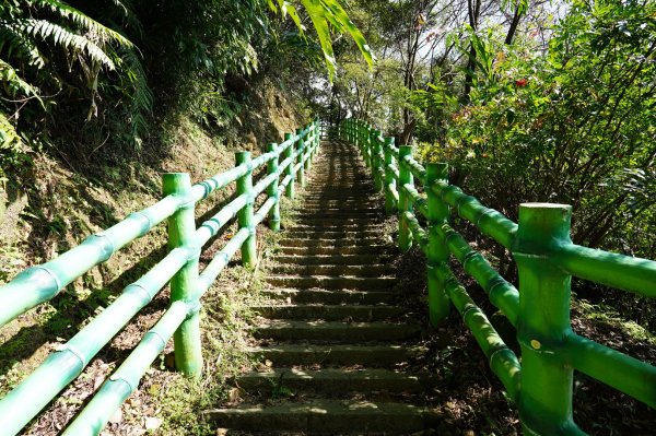 三峽 壽山、石牛山、二鬮山、鳶尾山2426235