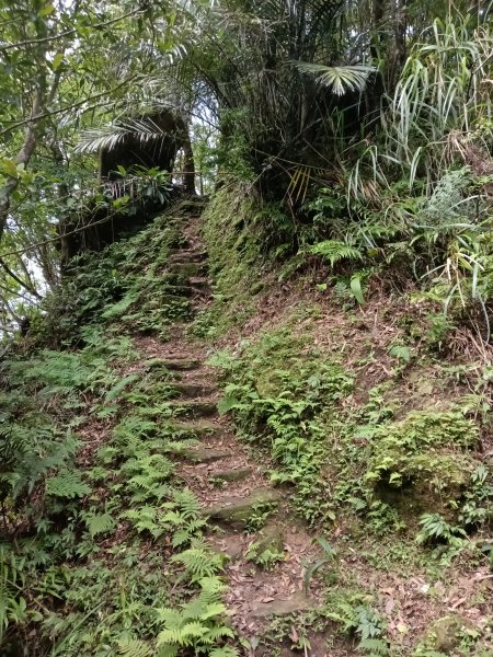 汐止區磐石嶺福興宮+581峰+雙十塔+耳空龜山+四分尾山+大尖山2805716