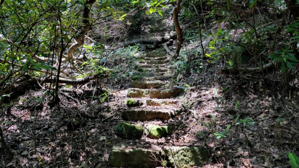 水磨坑古道,竹林古道2561784