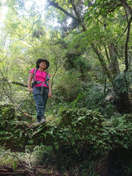 淡蘭烏山古道西段、網形山O走1434242