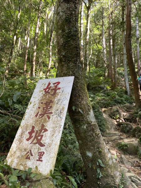 20191109 二訪內鳥嘴山+北得拉曼763537