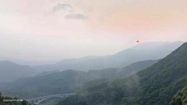 陽明山趴趴走，又到了賞蝶趣的季節 #褐斑毒蛾幼蟲2480447