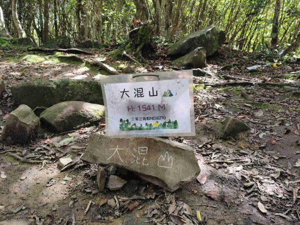 大混李棟山2816323