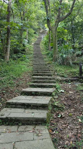 汐止大尖山3090603