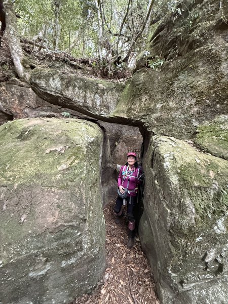 大坪祕境的奇岩2672552