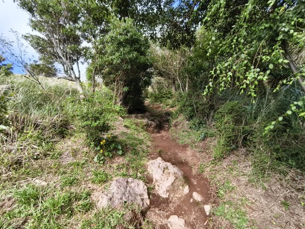 [百山百鳥尋旅-11/15] 2025_0927 大屯主峰-連峰步道_大屯山南峰2899363