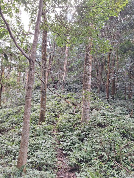 仙山古道群峰O型2693653