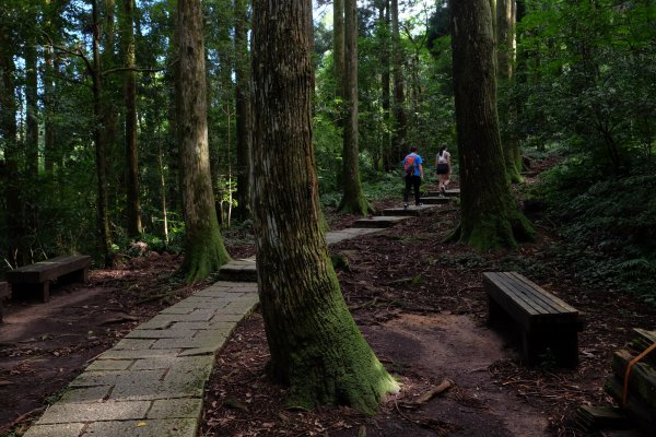 桃園復興區  東卡O縱2823801