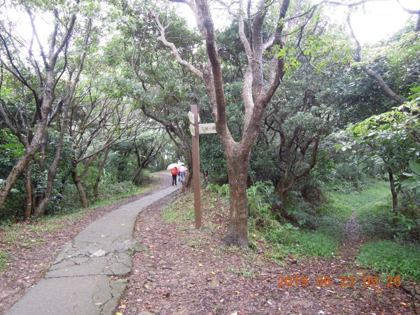 20190623_五酒桶山O繞841566