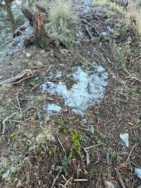 卓社大山〔武界栗栖溪登山口起登〕2748486