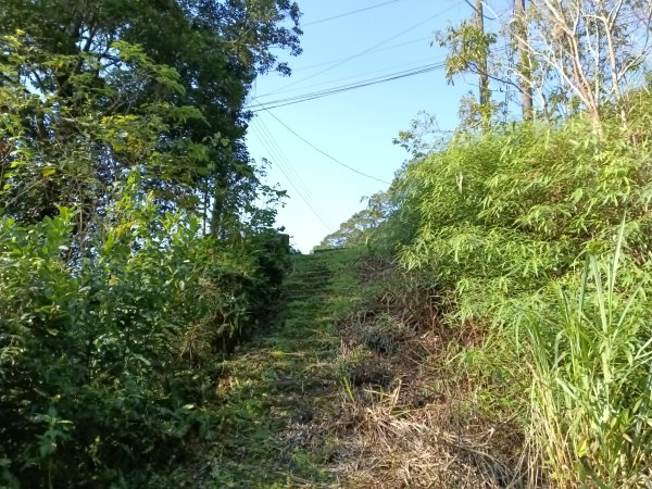 坪林區楣子寮尖+土地公遺址+火燒寮古道+枋山坑古道+枋山坑崙O型2985592