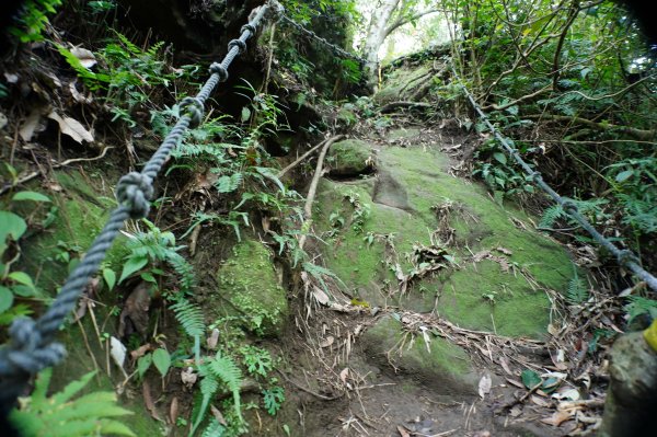 新竹 關西 福大山、彩和山、高甫山2988273