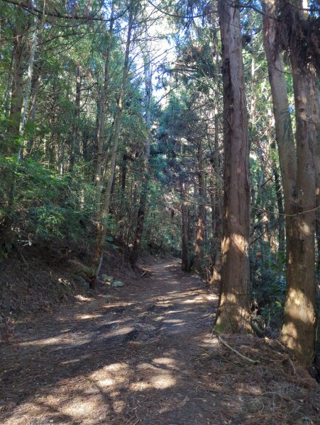 2025.12.06－北坑山步道&雪見遊憩區2956236
