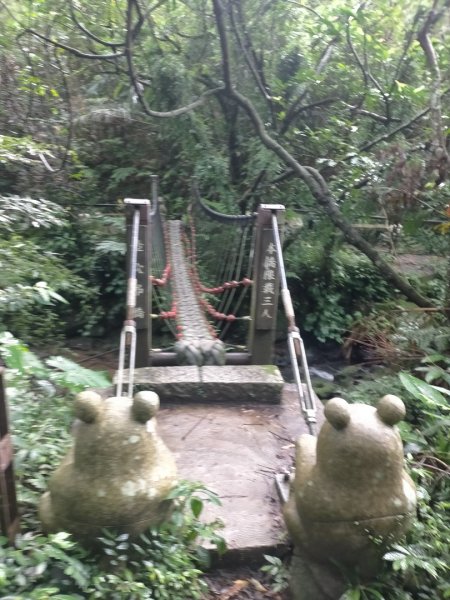 臺北大縱走第七段：世界山莊至飛龍步道2810227