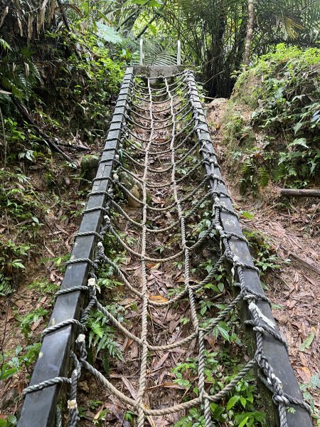 [微笑山線_第十二段] 2025_0803 五分山系_嶺腳寮山2851321