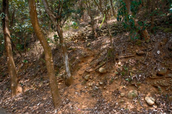 田中大小劍連走無名山2499274