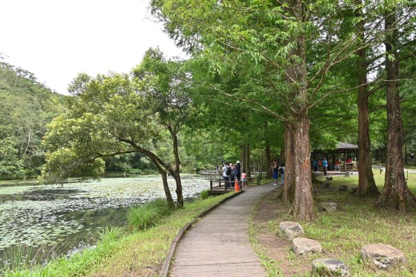 2025_0712 福山植物園封面