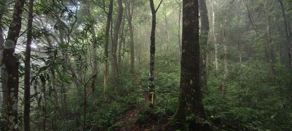 2026/07/07 凌空廊道↔️尖石山3085229