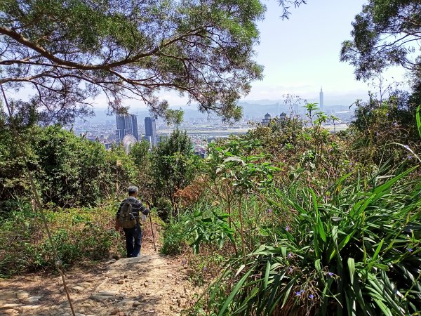 【臺北大縱走 5】2-2 仲春悠遊文間山→劍潭山→圓山水神社 【小百岳集起來】#009 劍潭山1645213