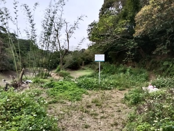 寶山鄉寶山水庫(寶山東峰+中峰+中西峰+西峰+西北峰)+尖山O型3012522