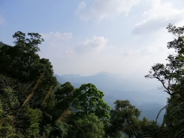 台南白河~台南第一高峰。 關仔嶺大凍山917822